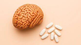 wpływ kreatyny na mózg